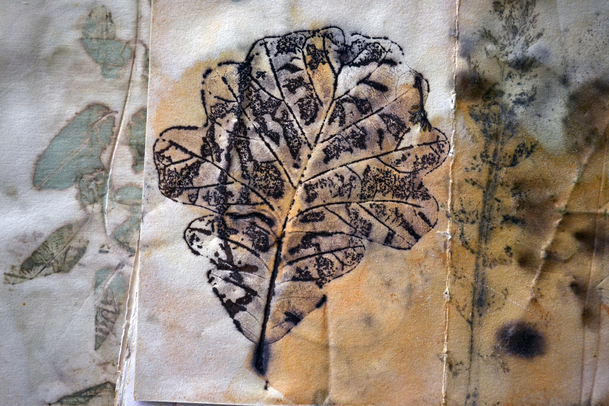 Eco-print, природний друк — майстер-клас з ДУМ, Кривий Ріг